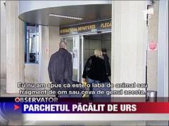 Piciorul din bagajul cetateanului chinez era al unui urs