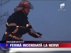 Ferma incendiata la nervi