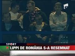 Mihai Stoichita acuzat de fanii Stelei