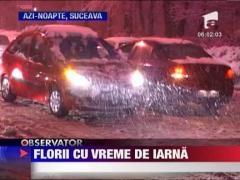 UPDATE / Vreme rea in perioada Pastelui