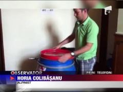 Alpinistul Horia Colibasanu, gata de ascensiune