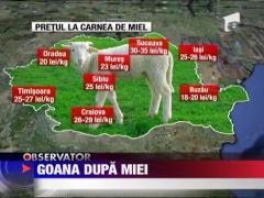 In pietele din toata tara a inceput goana dupa miei