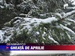 La munte drumurile sunt inghetate