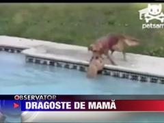 Dragostea de mama nu cunoaste limite