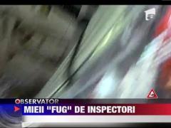 Comerciantii de carne de miei fug de inspectori