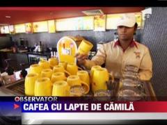 Cafea cu lapte de camila