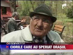 A inceput vanatoarea de ciori