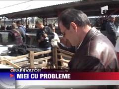 Nereguli la carnea de miel intr-un targ din Drobeta Turnu Severin