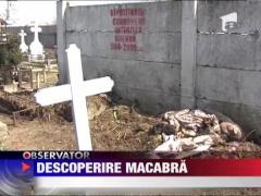 Descoperire macabra intr-un cimitir din Zanesti
