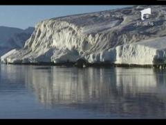 Pinguinii imperiali din Antarctica, numarati din satelit