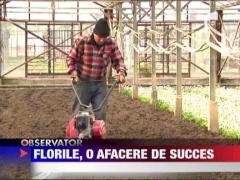 Observator de Weekend