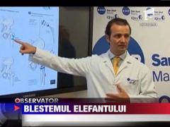 Regele Spaniei, operat la sold cu succes