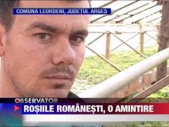 Legumele romanesti, o amintire