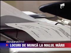 Locuri de munca la malul marii