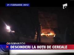 Descinderi la hotii de cereale