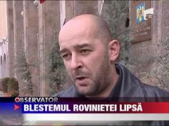 Adio amenzi multiple pentru circulatia fara rovinieta intr-o singura zi