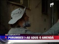 Un actor, amendat pentru ca hranea porumbeii