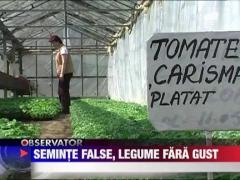 Seminte false, legume fara gust