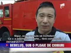 O fetita de 6 luni a ajuns la spital ranita de cioburi