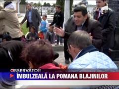 Circ si imbulzeala in cimitirele timisorene