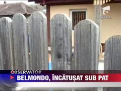 Belmondo Cobzaru, incatusat sub pat