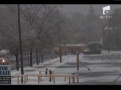 Ninsoare abundenta la New York