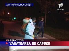 A inceput vanatoarea de capuse, in Bucuresti