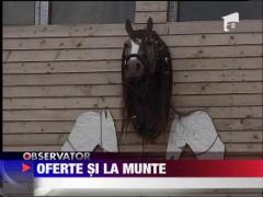 Oferte de 1 Mai la munte