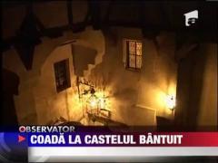 Observator de weekend