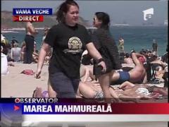 Observator 13 Weekend