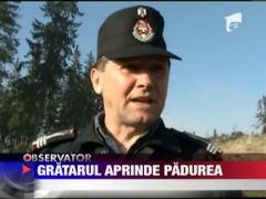 30 de hectare de padure facute scrum de un gratar