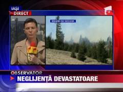 UPDATE / Incendiu de vegetatie in Suceava