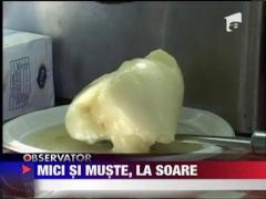 Inspectorii OPC cu ochii pe mici si frigarui