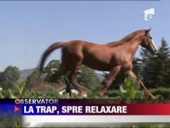 La trap, spre relaxare