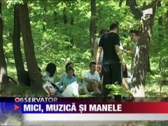 Mici, muzica si manele