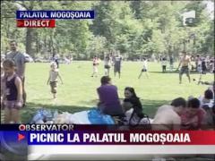 Picnic la Palatul Mogosoaia