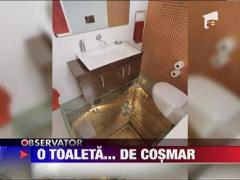 Cea mai periculoasa toaleta