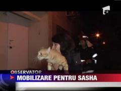 Observator de weekend