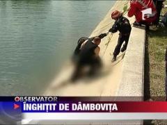 Dambovita a inceput sa faca victime
