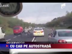 Cursa nebuna cu cai pe o autostrada din Irlanda