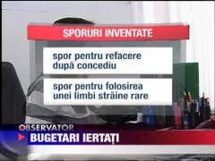 Legea amnistiei fiscale, adoptata