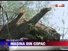 Pedeapsa inedita pentru un sofer polonez