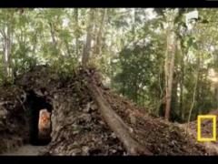 Sfarsitul lumii conform calendarelor mayasise se amana