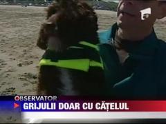 Grijiulii doar cu catelul