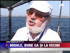 Observator 13 Weekend