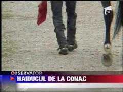 "Haiducu" de la conac