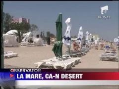 Vantul a facut ravagii pe litoral