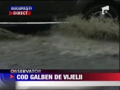 Cod galben de ploi si vijelii
