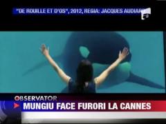 Mungiu face furori la Cannes