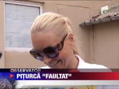 Victor Piturca, un nou termen in procesul de paternitate